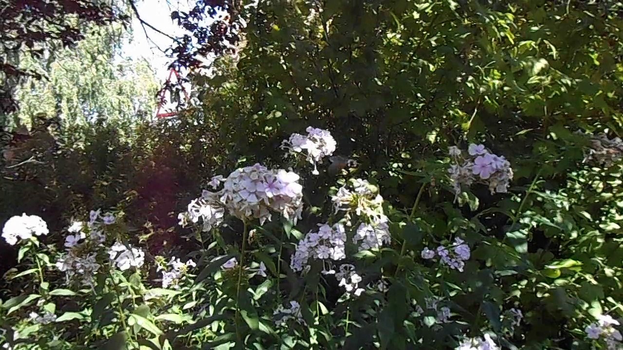 DSCN5702