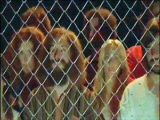 Matt Berry -- AD/BC:  A Rock Opera -- Opening and the Innkeeper's Song