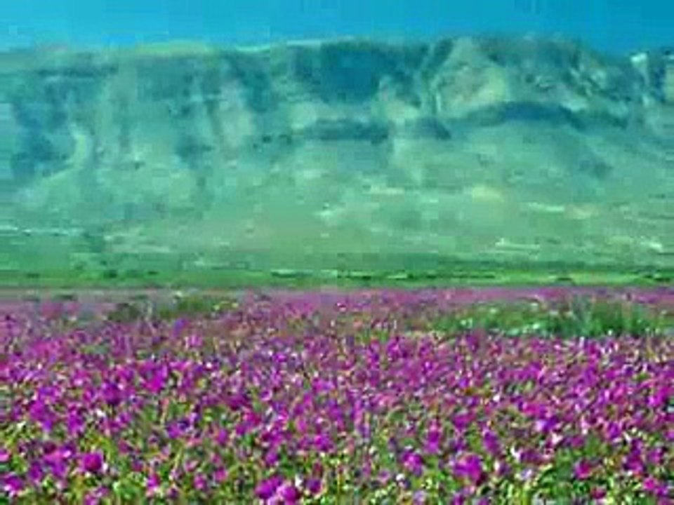 CHILE, Naturaleza que Conmueve