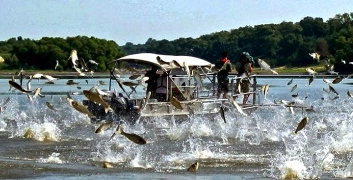 Canavar Balıklar: 13. Bölüm - Mekong Gizemi