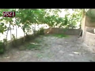 Iran " بيا بريم شمال " Shomal