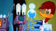 New Woody Woodpecker Show - Two Woodys , No Waiting