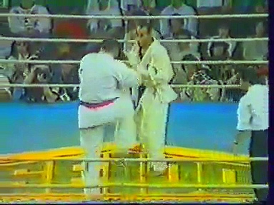 Seidokaikan karate world cup 1994 Final: Michael Thompson vs Sam Greco