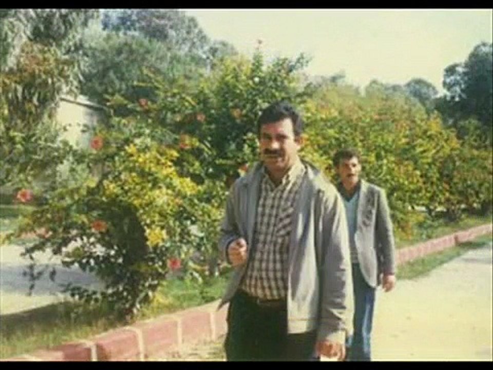 serok & gerilla