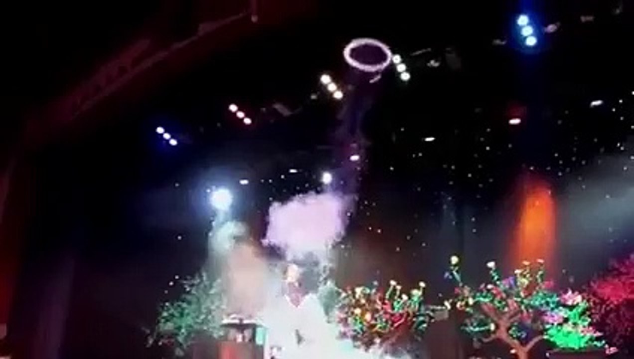 Queen Of Bubbles Simply Amazing WOW