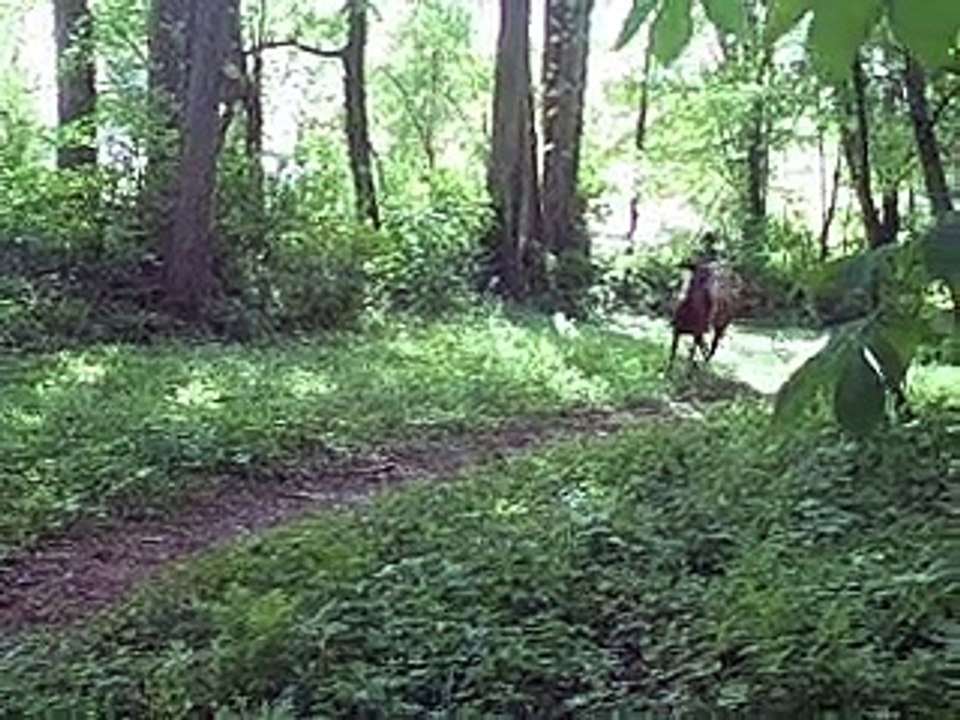 I was enchanted to meet you...