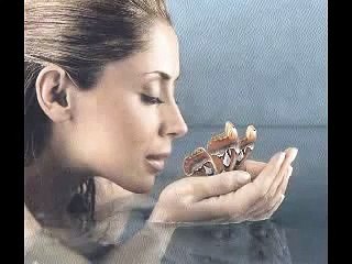 Cover of Adagio/You're not from here (Lara Fabian)