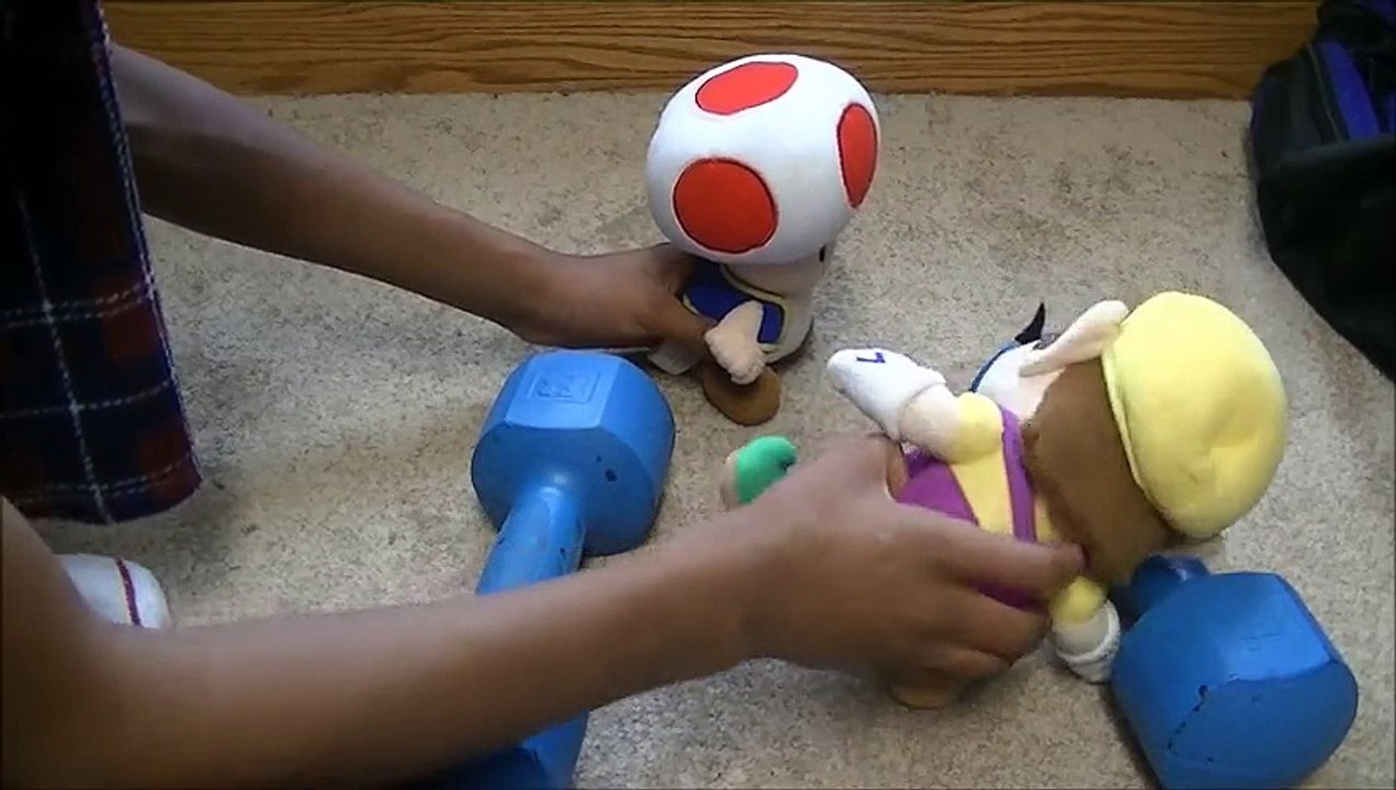 Wario's Workout