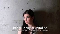 Mozart Violin Sonata KV 378 1. Allegro moderato