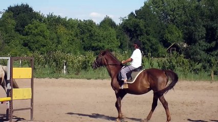Equitation