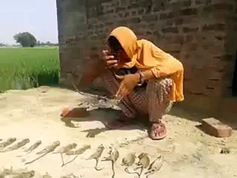 funny video