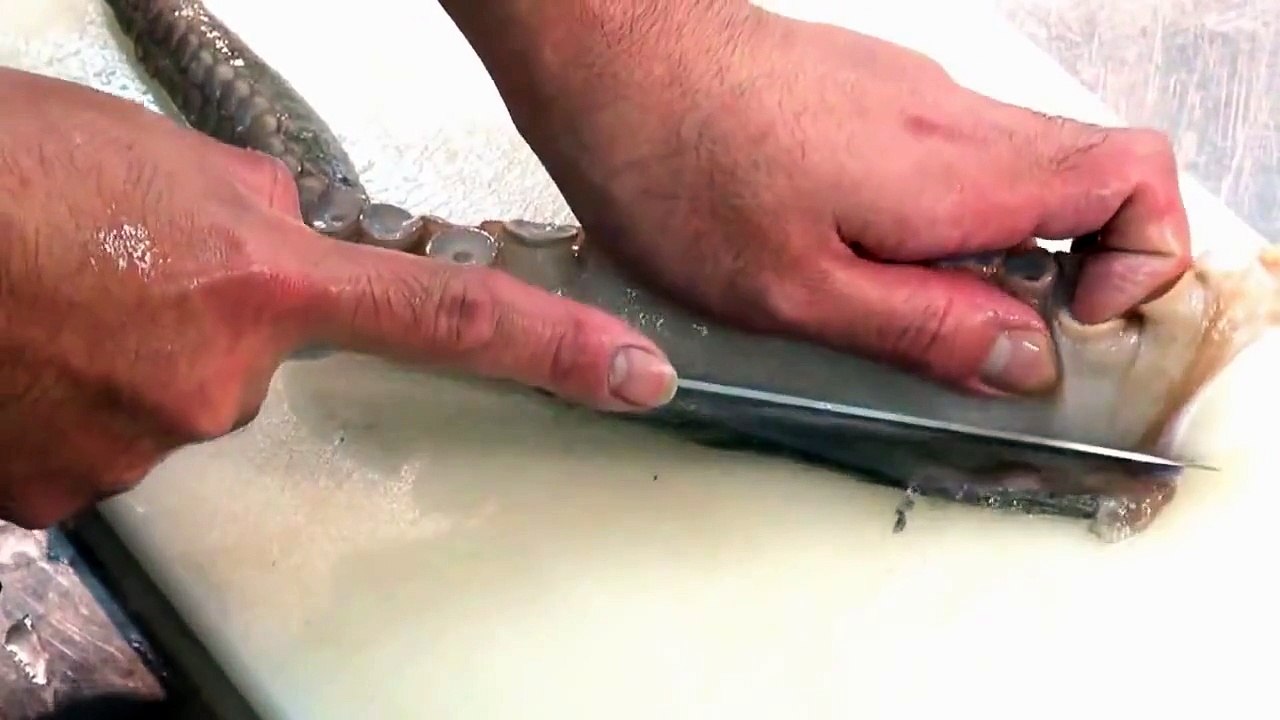 生たこの刺身の作り方 How to octopus of cooking sashimi Japanese food