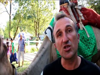 Course de dromadaire à l'hippodrome d'Aix les Bains