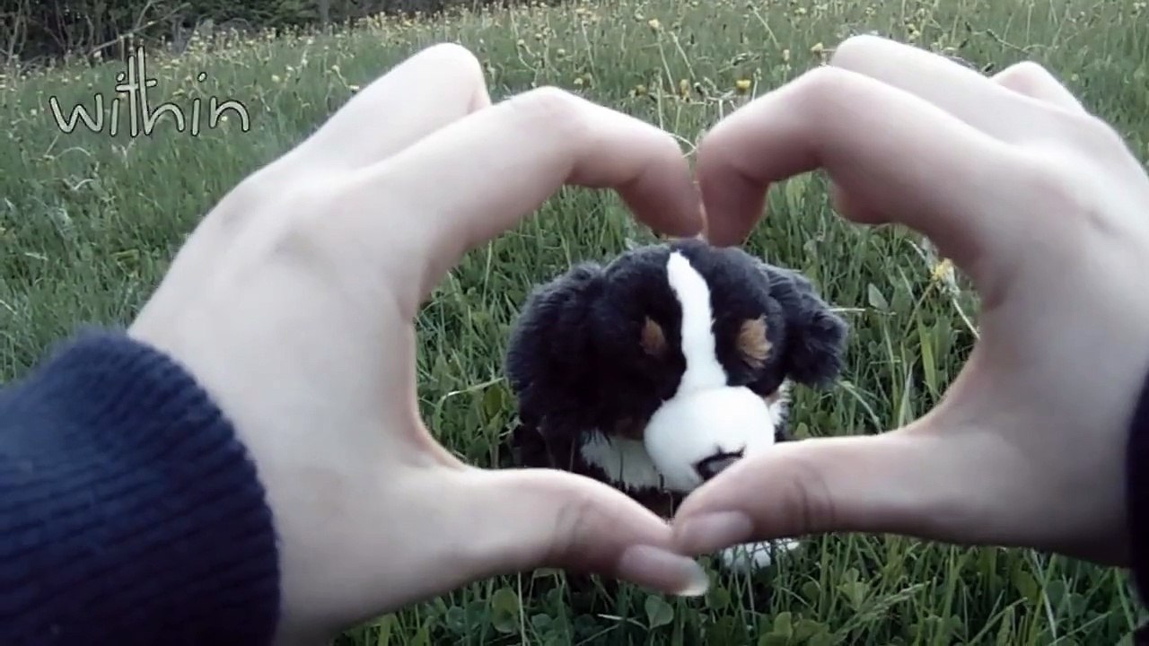 When She Loved Me - Webkinz Music Video