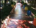 Le mémorial d'Yves st Laurent - Les jardins de Majorelle.