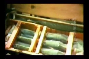 Chinese Vietnam War 1979 中越戰爭 自衛反擊