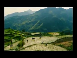 O Reino Proibido - Dublado PTBR Parete 3