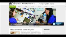 Winnipeg Veterinarian on Class 4 Laser Therapy for Pets - Centennial Animal Hospital