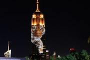 Cecil the Lion made it onto the side of the Empire State Building