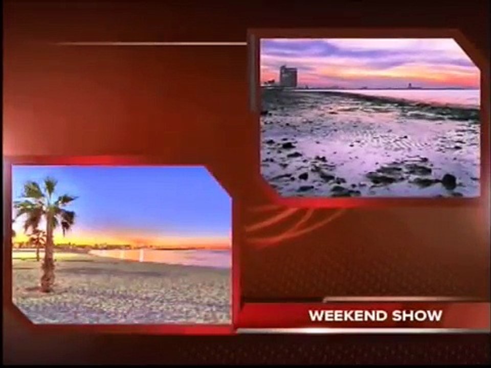 U.S. Embassy Kuwait, Vice-Consul Jesse Lynch on U.S. Visas - KTV2