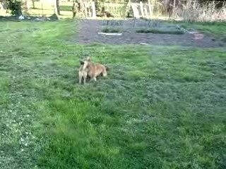 Week end jimmy cecile 042