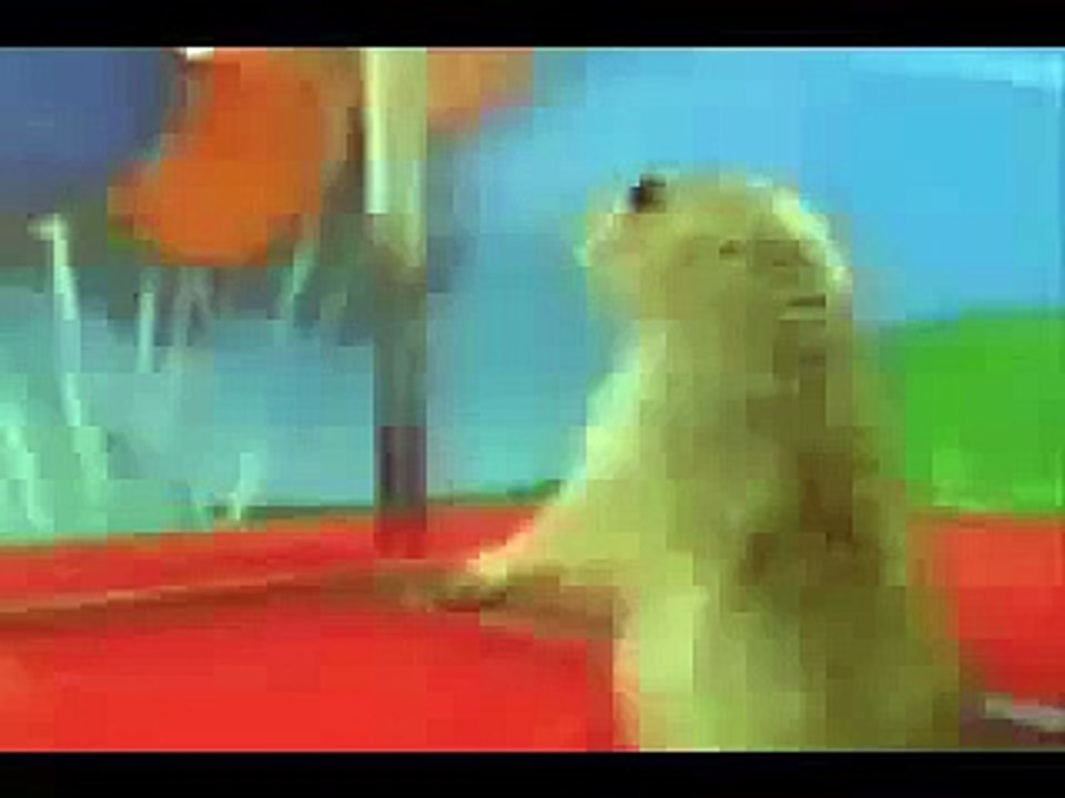 la ardilla loca