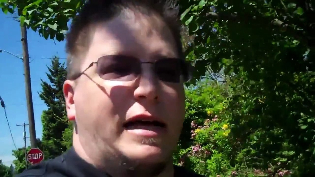 Costco Optical Review - Transitions Progressive Lenses in Wide Frame Glasses