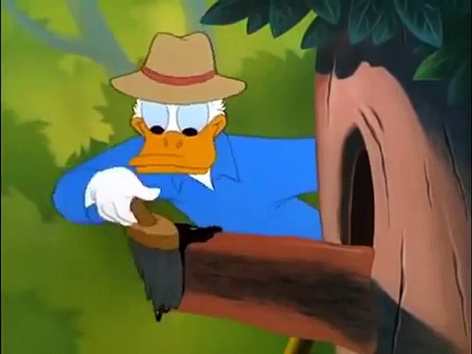 Donald Duck Cartoons Full Episodes English - COMPILATION 2015 HD Part 4