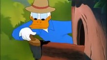 Donald Duck Cartoons Full Episodes English - COMPILATION 2015 HD Part 4