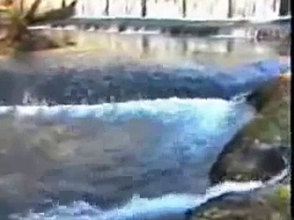 Marko Perković - croatian militia song ( english lyrics info)