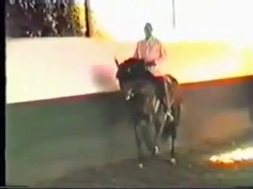 Mestre Nuno Oliveira - Piaffe