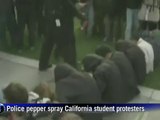 Police pepper spray California student protesters