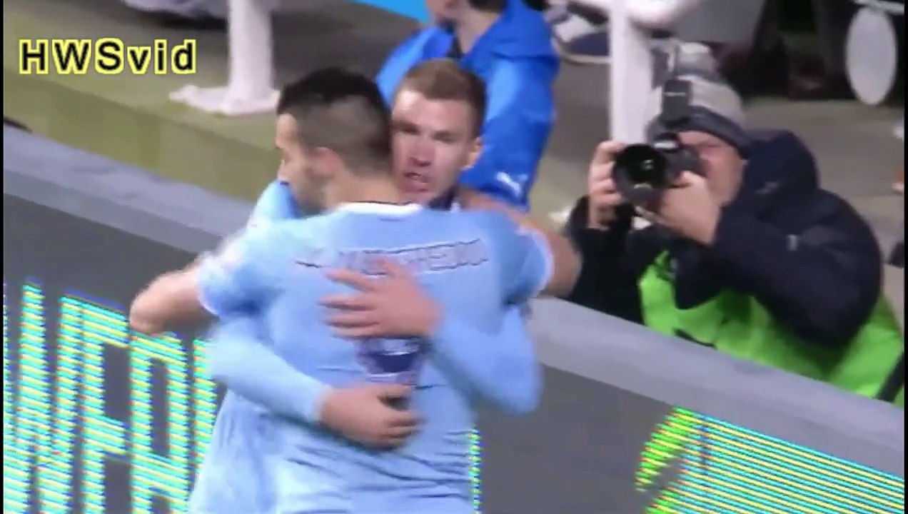 Edin Dzeko ► New Goals ► 2013-14 Manchester City / Bosnia  ᴴᴰ