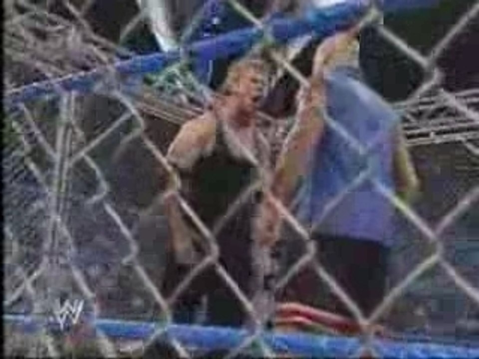 Vince vs brock lesnar in a steel cage
