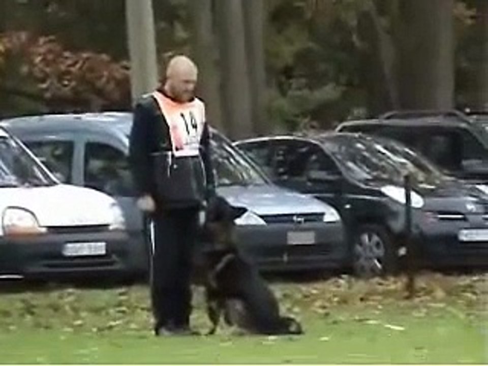 Bubba von Spitzbubezwinger