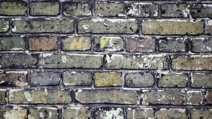 The Wild One Trailer 1953 Movie Starring Marlon Brando Lee Marvin