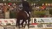 Weyden Hanoverian 1986 Stallion by Western Star Grande