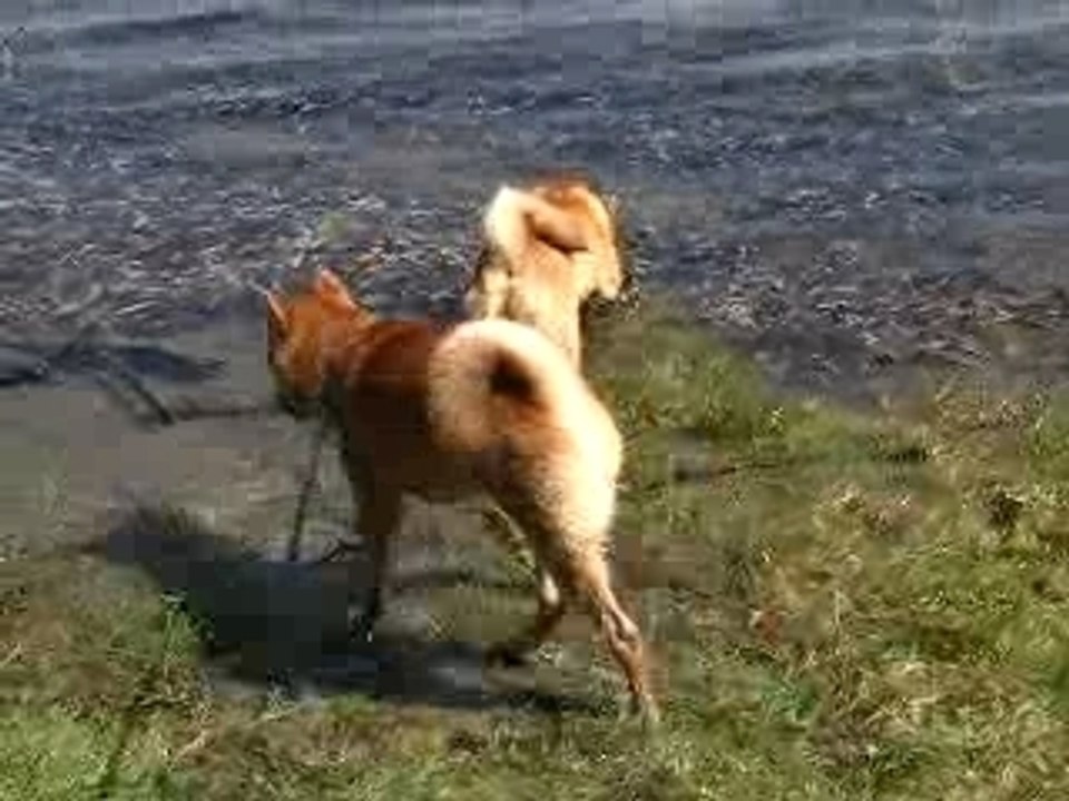 Week end jimmy cecile 034