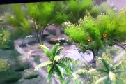 Far cry 3 Funny Attacks