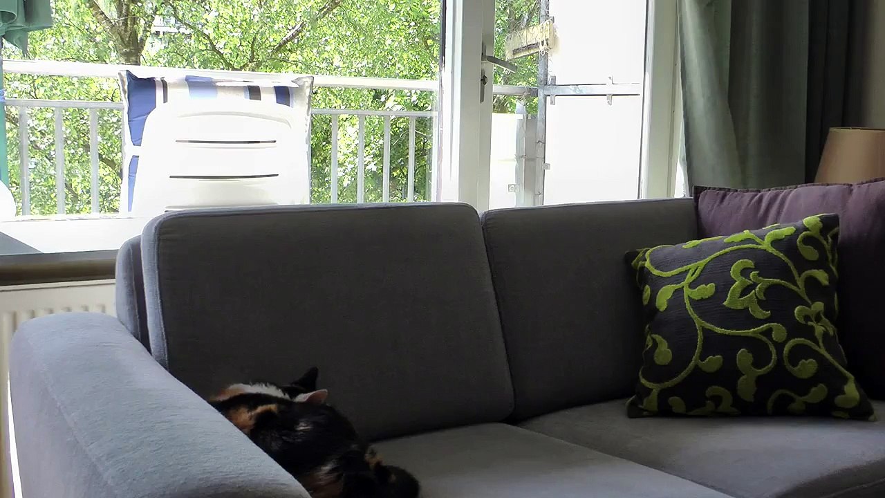 Short test of Raynox HD-6600PRO46 on Panasonic HDC-SD900