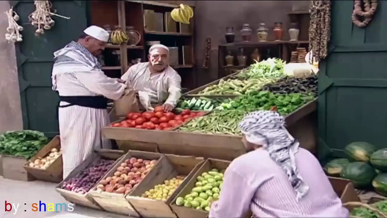 هوشة حارة الضبع وحارة ابو النار