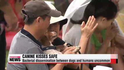 Smooches from pooches unlikely to transmit bacteria to humans