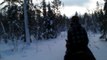 Finland - Horse Riding in Forest on Finnish Horses
