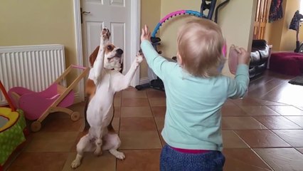 Dog loves his small human: dogs are family