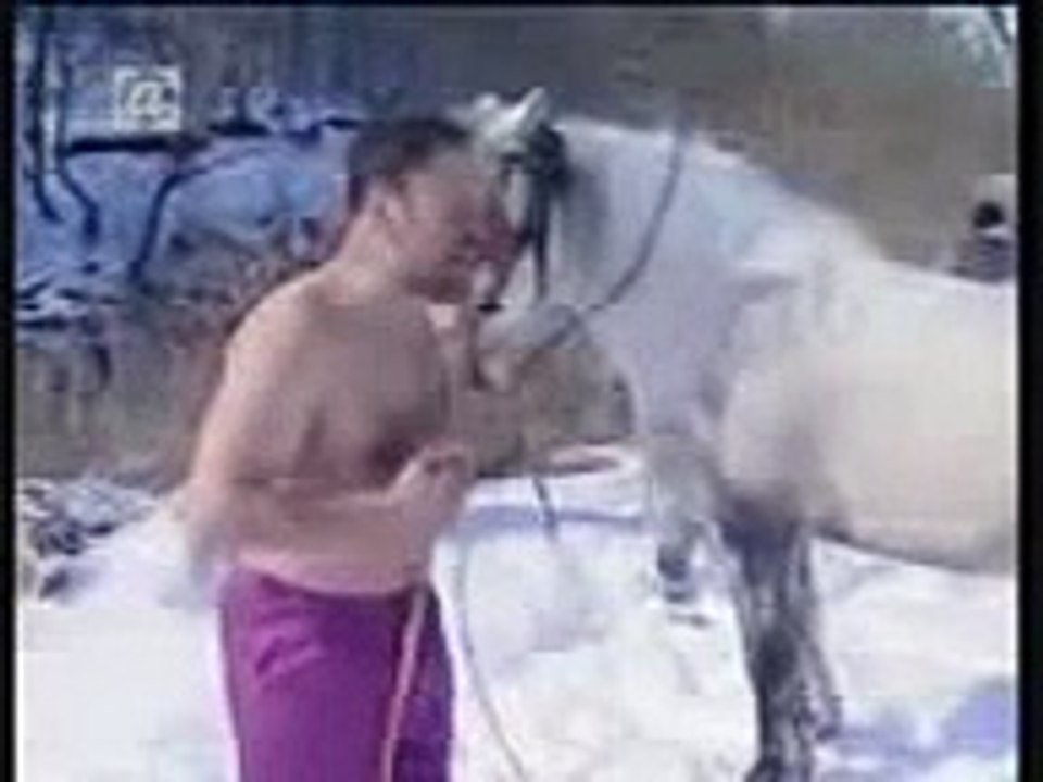 zmaj od sipova u rjeci Janj