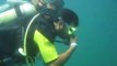 My First Scuba-Diving Experience. Vol.1