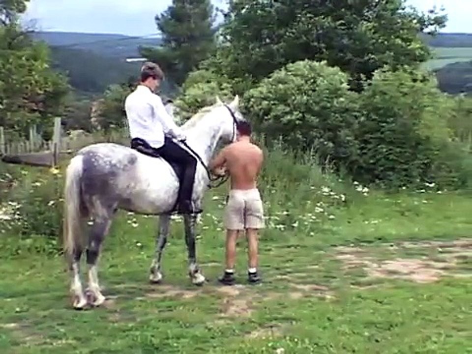 in the stable