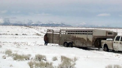 Final Wild Horse Release for Antelope Complex Stampede ~ (Raw)
