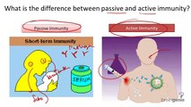 8.11.3 Types of Immunity --Passive v Active