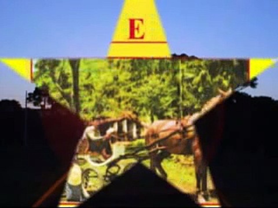 UM POUCO DE MINHA VIDA - Liu e Léu